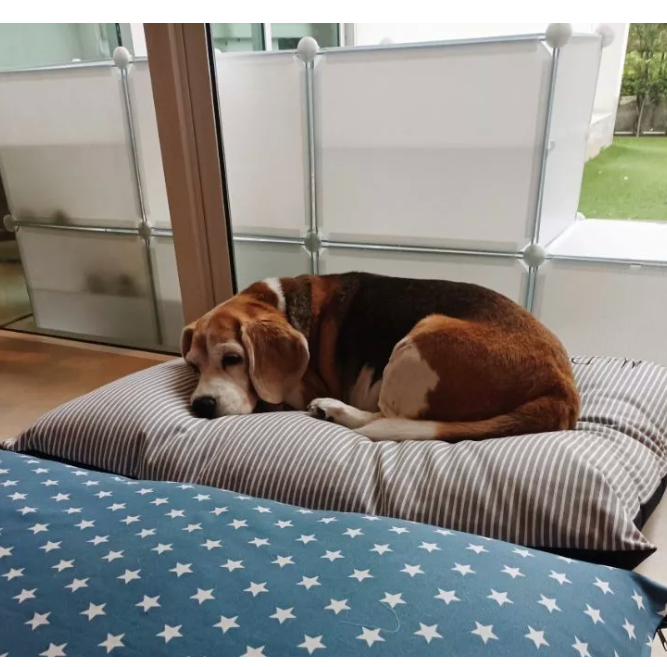 Duvet "สินค้าเฉพาะปลอก" สำหรับลูกค้าที่เคยซื้อแล้ว