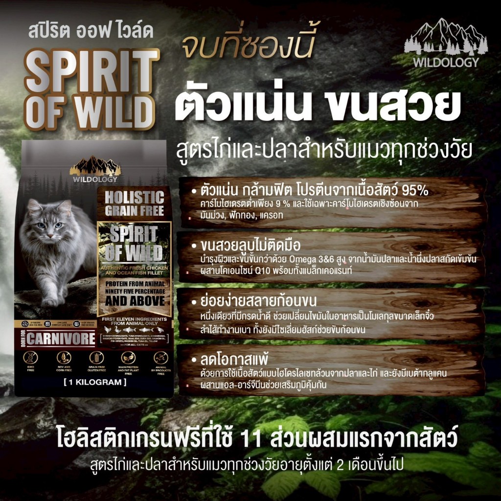 Petheria อาหารแมว เพ็ทเทอเรีย โฮลิสติก-เกรนฟรี ลดการเกินก้อนขน ลดขนร่วง ไม่เค็ม ขนาด 1-1.5 kg - 5