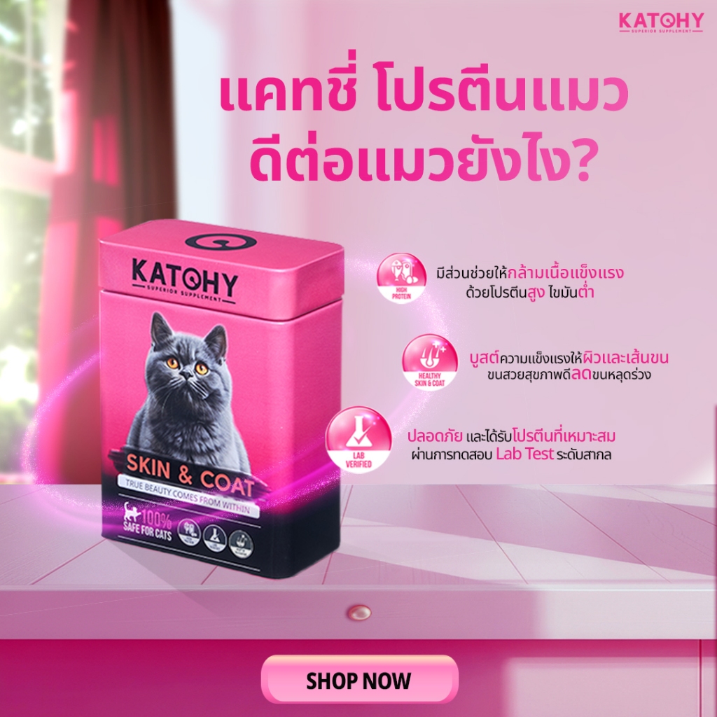KATCHY แคทชี่ อาหารเสริมโปรตีนแมว |  สูตร Skin&Coat บำรุงผิวหนังและเส้นขน ลดการขาดหลุดร่วง ขนาด 100g