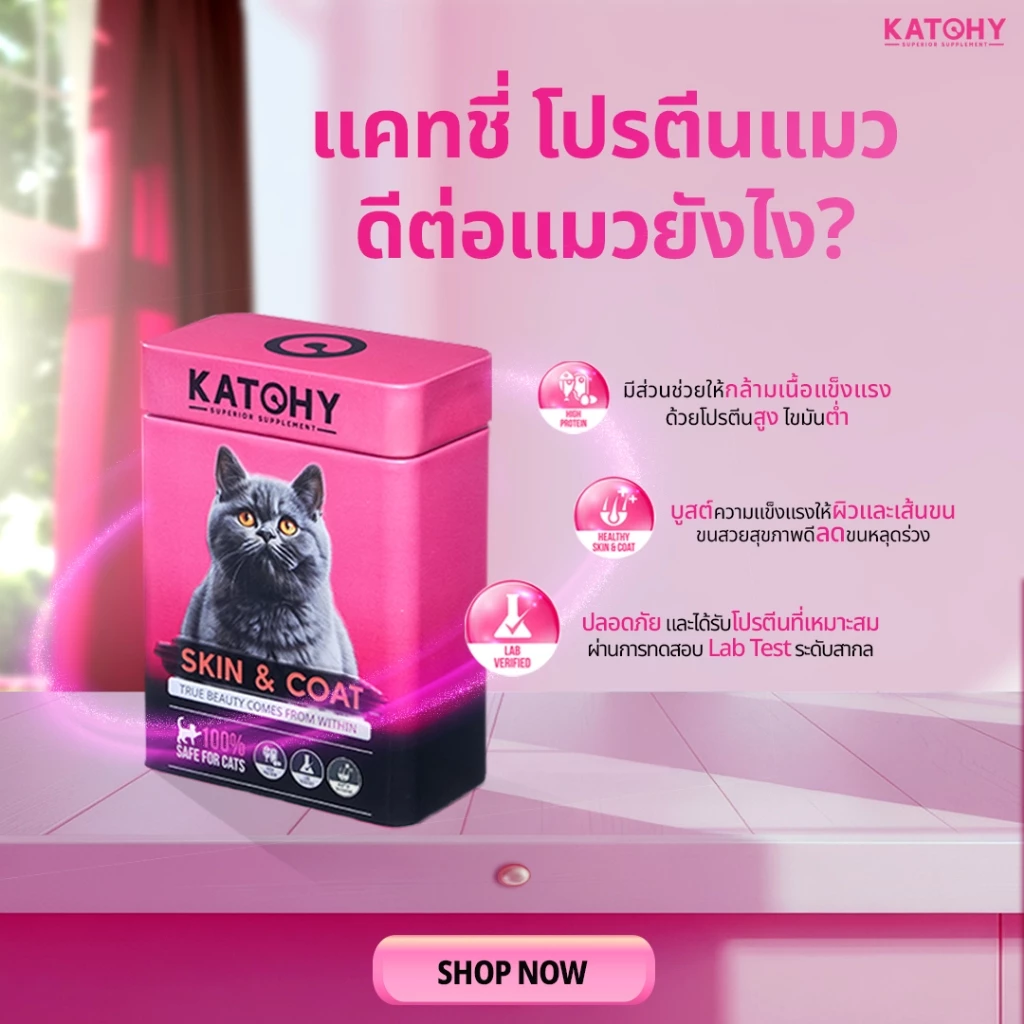 KATCHY แคทชี่ อาหารเสริมโปรตีนแมว | สูตร Skin&Coat บำรุงผิวหนังและเส้นขน ลดการขาดหลุดร่วง ขนาด 100g