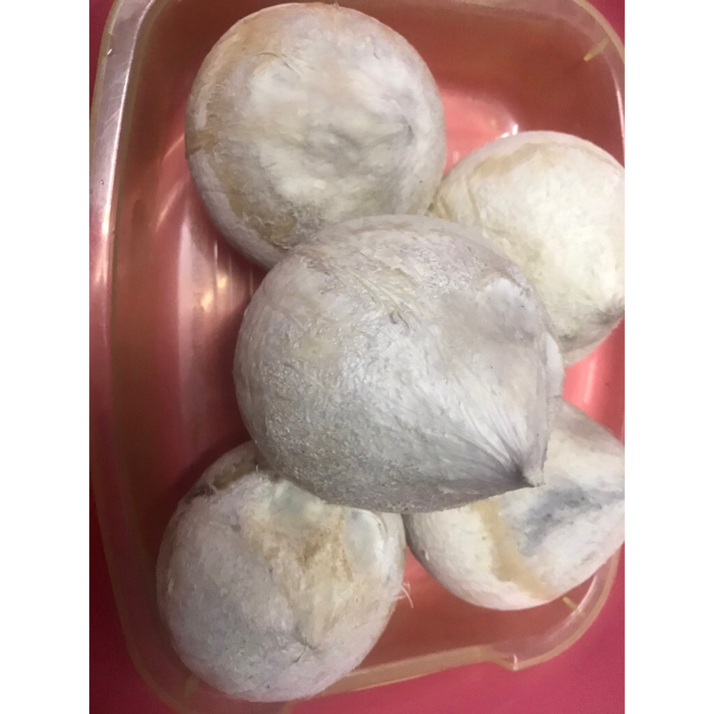 มะพร้าวเผาเนื้ออ่อน.