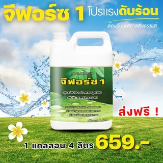 จีฟอร์ซวัน (แกลอน4ลิตร) สารจับใบ เร่งการดูดซึม จับใบ ไม่มีแอลกอฮอล์ ไม่ทำร้ายใบพืช