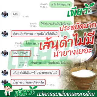 เพียว1 เพียว2 (อย่างละ 1ขวด) วัคซีนรักษาโรคพืช เร่งโต เร่งเขียว เร่งผลผลิต