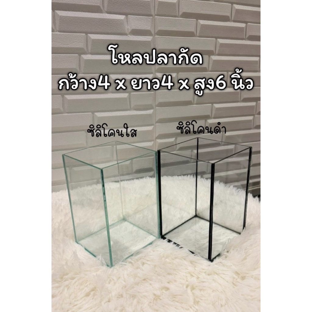 โหลปลากัดขนาด กว้าง4 x ยาว4 x สูง6 นิ้ว กระจก 3 มิล
