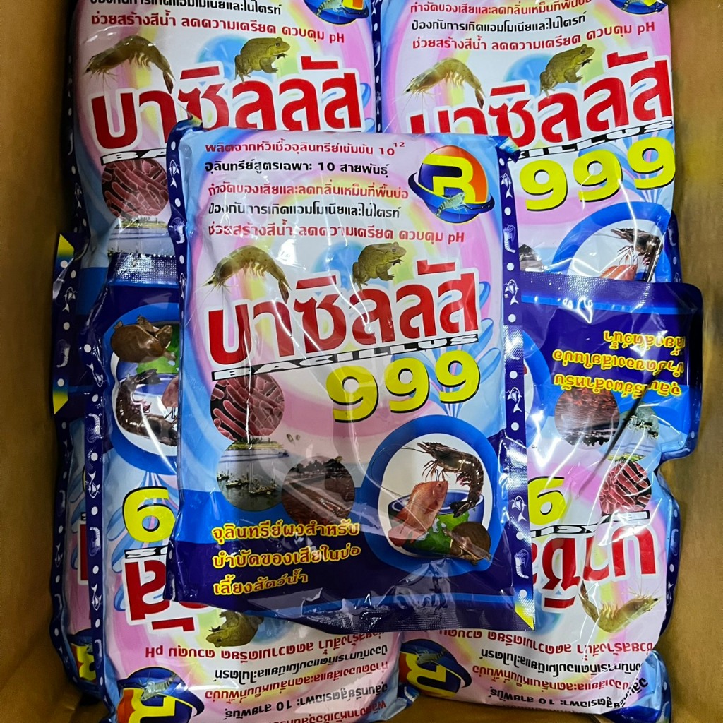 จุลินทรีย์ บาซิลลัส999 จุลินทรีย์ผงสำหรับบำบัดน้ำเสียในบ่อเลี้ยงสัตว์น้ำ ช่วยสร้างสีน้ำ ลดความเครียด