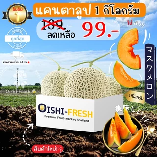 🇹🇭Oishi-fresh🍈แคนตาลูป หวานจัด ปลอดสารพิษ รสชาติกรอบ สด ใหม่ ใยอาหารสูง หวานออร์แกนิค เคลมได้ 1-2 วัน
