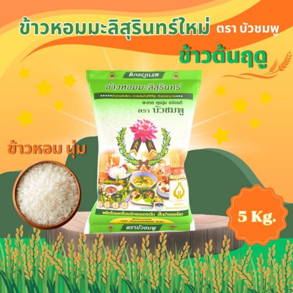 ข้าวหอมมะลิสุรินทร์ใหม่ต้นฤดู ตราบัวชมพู 5k.
