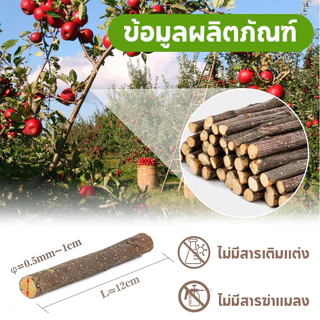 PETLUSCI ไม้แอปเปิ้ล Apple Stick 500g และ 1kg ขนมลับฟัน ธรรมชาติ ก้านเล็ก สำหรับสัตว์ฟันแทะ