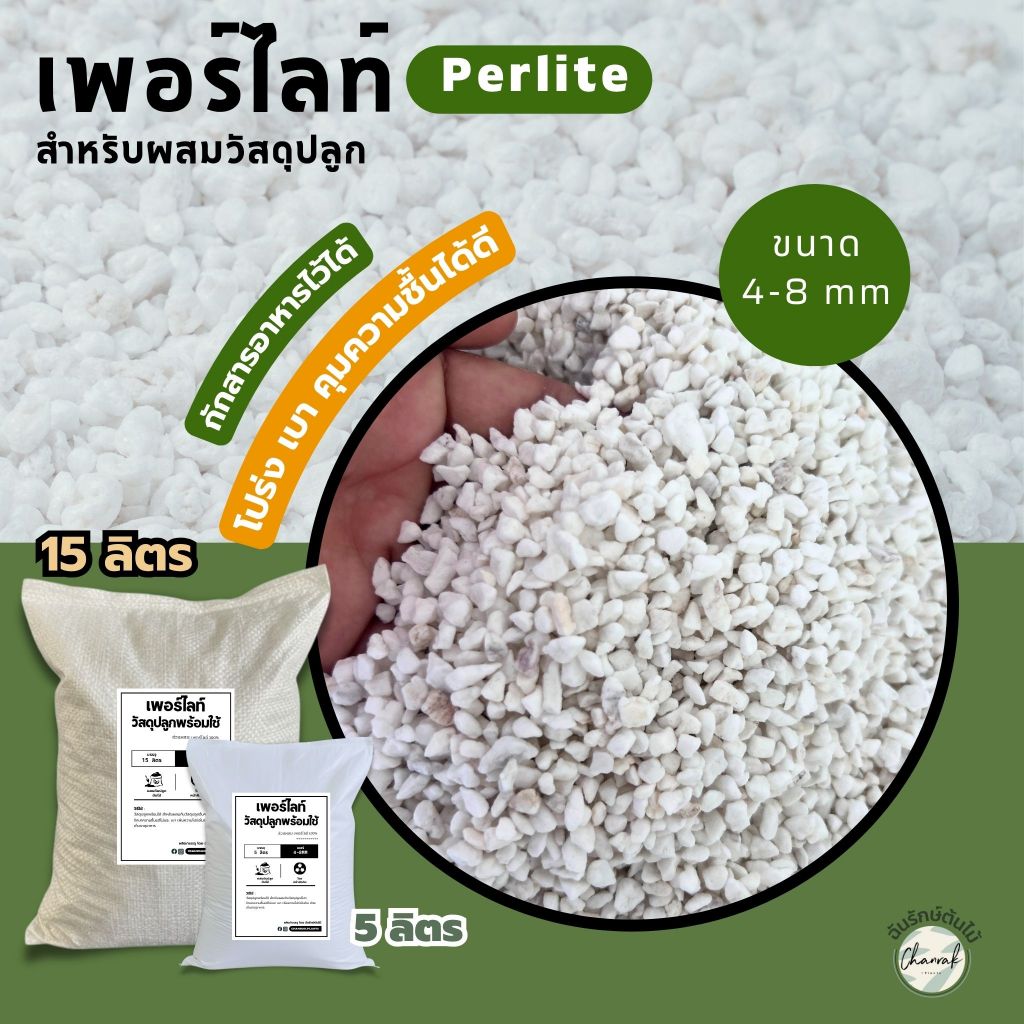 เพอร์ไลท์ ( Perlite ) วัสดุปลูกพร้อมใช้