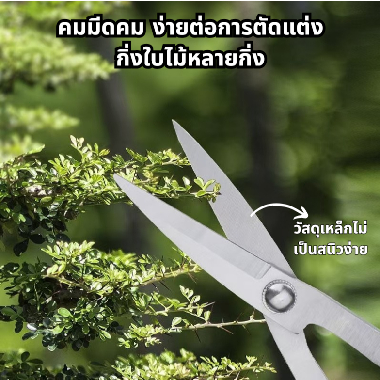 ยาว21และ29เซ็นติเมตร คีมปากนกแก้ว คีมท้องเรือ กรรไกรตัดแต่งกิ่งบอนไซ คีมตัดแต่งบอนไซ อุปกรณ์ตัดแต่งบอนไซ - รูปที่ 7