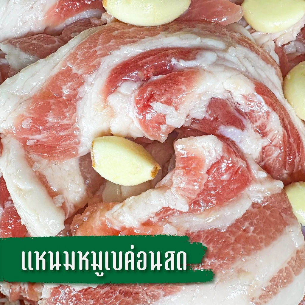 (Live) แหนมหมูเบคอนสด(หนา)พรีเมี่ยม ครัวคุณศิ ขนาด500กรัม ทำใหม่ทุกวัน