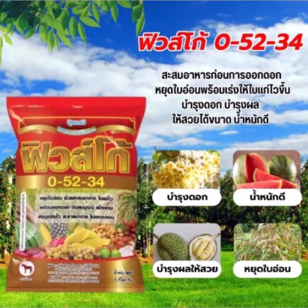 ปุ๋ยเกล็ดฟิวส์โก้ 0-52-34 (1กก.)