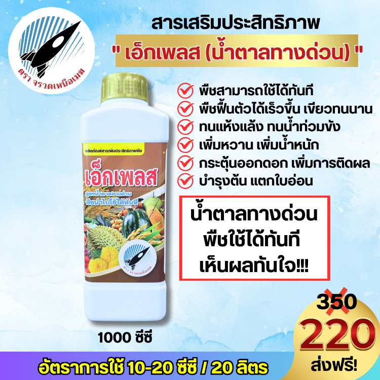 เอ็กเพลส(น้ำตาลทางด่วน)พืชสามารถใช้ได้ทันที ฟื้นต้น-ใบ เขียวทนนาน ทนแห้งแล้ง ทนน้ำท่วมขัง เพิ่มหวาน เพิ่มน้ำหนัก : 1ลิตร