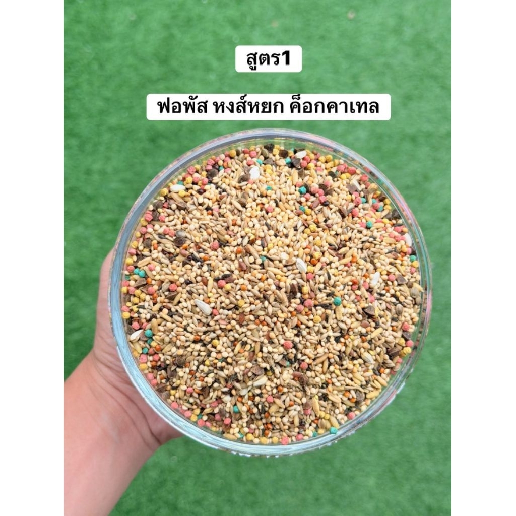อาหารนกสูตรเฮียฮะ มหาชัย ธัญพืชรวม 27 ชนิด คลุกด้วยน้ำมันสกัดเย็น 8 ชนิด และคลุกวิตามินต่างๆที่ครบถ้วน ของแท้💯 - รูปที่ 4
