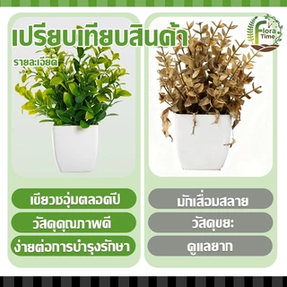 บอนไซเทียม ไม้ประดับ ดีไซน์โมเดิร์น ขนาดเล็ก สําหรับตกแต่งบ้าน สวน โต๊ะรับประทานอาหาร ห้องนอน