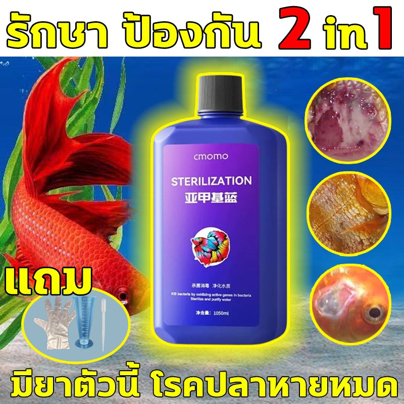methylene blue สามารถรักษาโรคปลานับร้อยชนิดได้ ยารักษาปลาทอง  ไม่เป็นอันตรายต่อปลา ฆ่าเฉพาะเชื้อโร ยารักษาปลาเกล็ดพอง