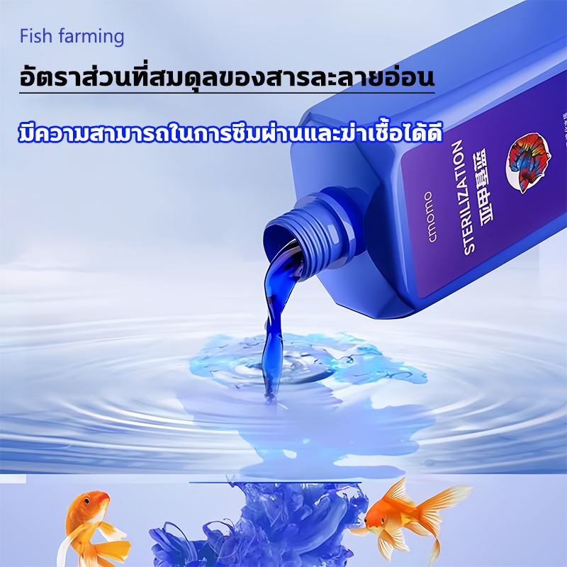 methylene blue สามารถรักษาโรคปลานับร้อยชนิดได้ ยารักษาปลาทอง  ไม่เป็นอันตรายต่อปลา ฆ่าเฉพาะเชื้อโร ยารักษาปลาเกล็ดพอง - รูปที่ 5