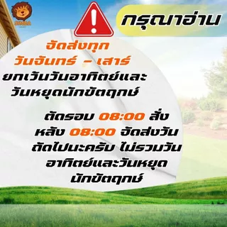 แผ่นกรองอากาศ ไส้กรองอากาศ เครื่องตัดหญ้า Honda GX50 ใช้ได้ทุกยี่ห้อ อย่างดี พร้อมส่งด่วน!!