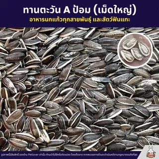 ทานตะวัน Aป้อม เม็ดใหญ่ เกรดA อาหารนกแก้ว และสัตว์ฟันแทะ สะอาด ร่อนฝุ่น (แบ่งขาย 500G / 1KG)