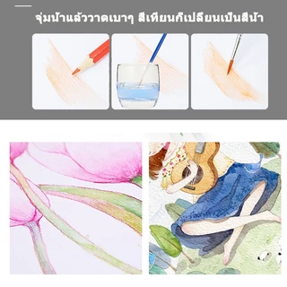 ดินสอ ดินสอสีไม้ ดินสอสีลบได้ ชุดดินสอสีไม้ลบได้ 12สี/18สี/24สี