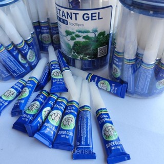 กาวติดไม้น้ำ กาวติดขอนไม้ หิน ปะการัง กาวติดเลเอาท์ Aquarium…