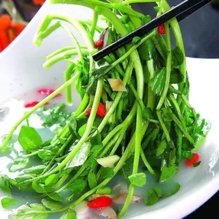 800 เมล็ดเมล็ดพันธุ์วอเตอร์เครส เมล็ดวอเตอร์เครส (Watercress) ผักสลัด มากวิตามิน โตไว ทานสดได้