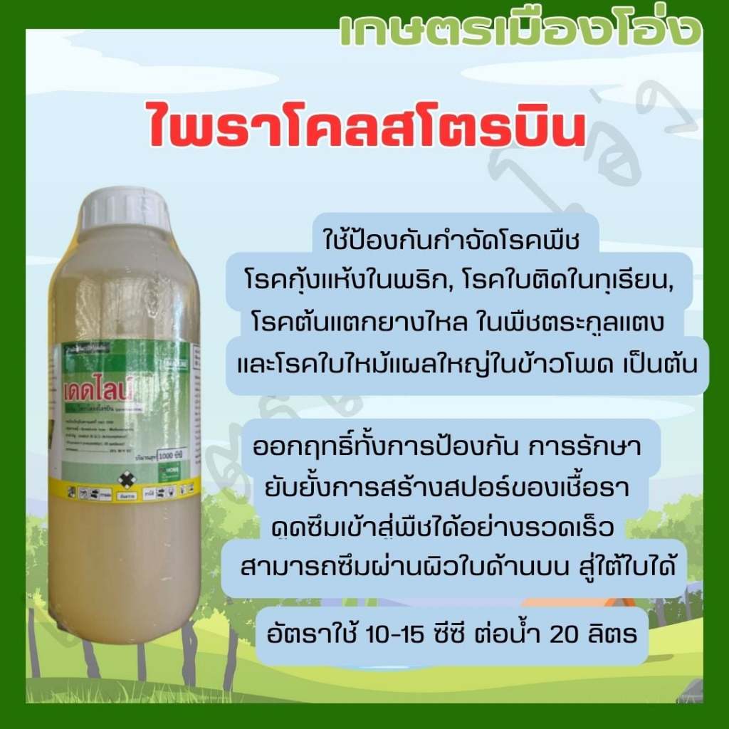 ไพราโคลสโตรบิน 1ลิตร เดดไลน์ออกฤทธิ์เร็วดูดซึมและแทรกซึมได้ดีระยะปลอดฝนสั้น สามารถป้องกันและกำจัดโรคพืชได้อย่างกว้างขวาง