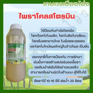 ไพราโคลสโตรบิน 1ลิตร เดดไลน์ออกฤทธิ์เร็วดูดซึมและแทรกซึมได้ด…