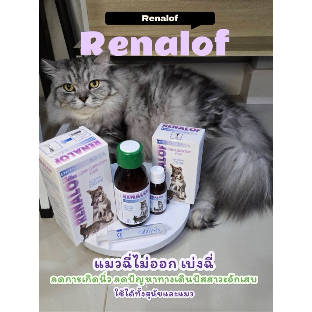 Renalof Pets สลายนิ่วในสุนัขและแมว ฉี่ไม่ออก กระเพาะปัสสาวะอักเสบ ดูแลสุขภาพไต 30 ml.