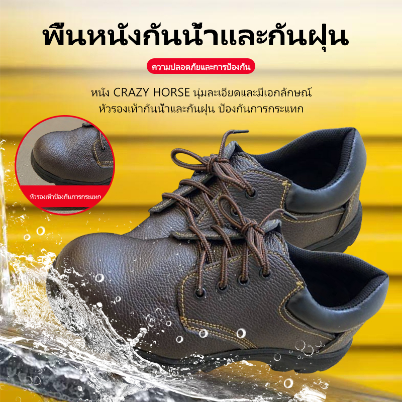 รูปภาพ 5