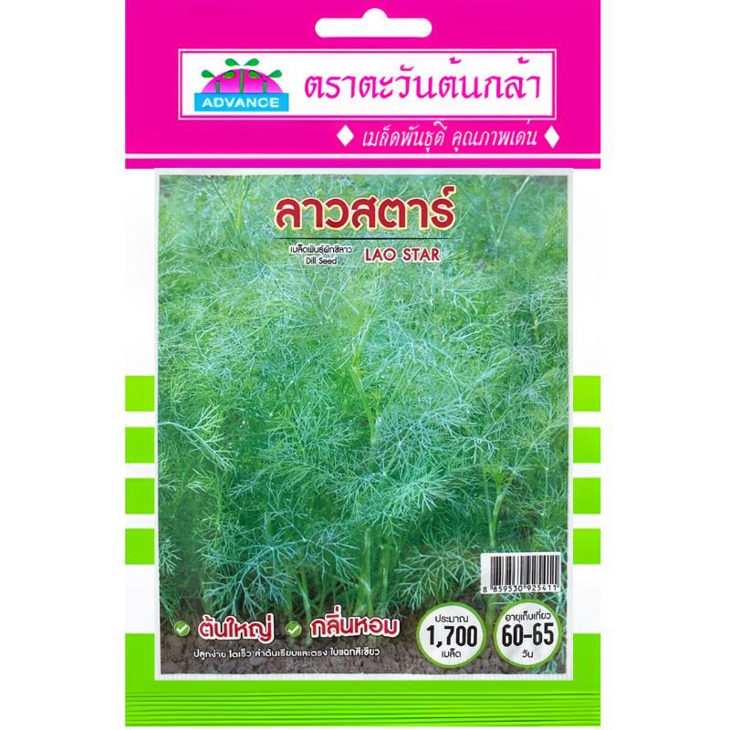 เมล็ดผักชีลาว ลาวสตาร์ ตราตะวันต้นกล้า