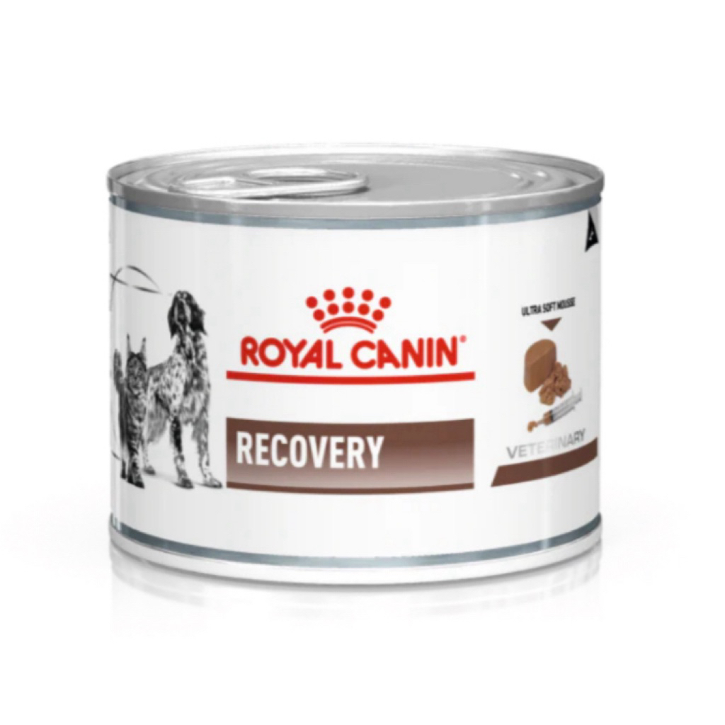 (ขายแยก 1 กระป๋อง) Royal Canin Recovery อาหารสัตว์ป่วย พักฟื้น บำรุงสุขภาพ