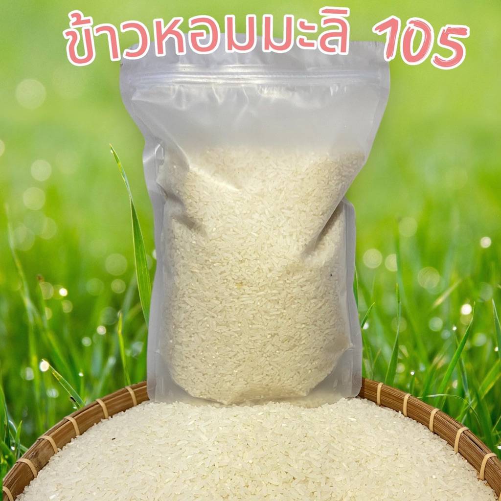 ข้าวหอมมะลิ 105 ปลูกเองจากเกษตรกร ข้าวหอมมะลิ