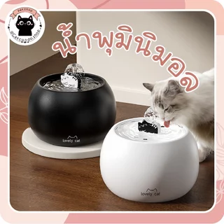🌵 น้ำพุlovely พร้อมไส้กรอง น้ำพุสัตว์เลี้ยงอัตโนมัติ น้ำพุแมว น้ำพุสัตว์เลี้ยงกรองน้ำอัตโนมัติ ช่วยให้น้ำสะอาด 🌵