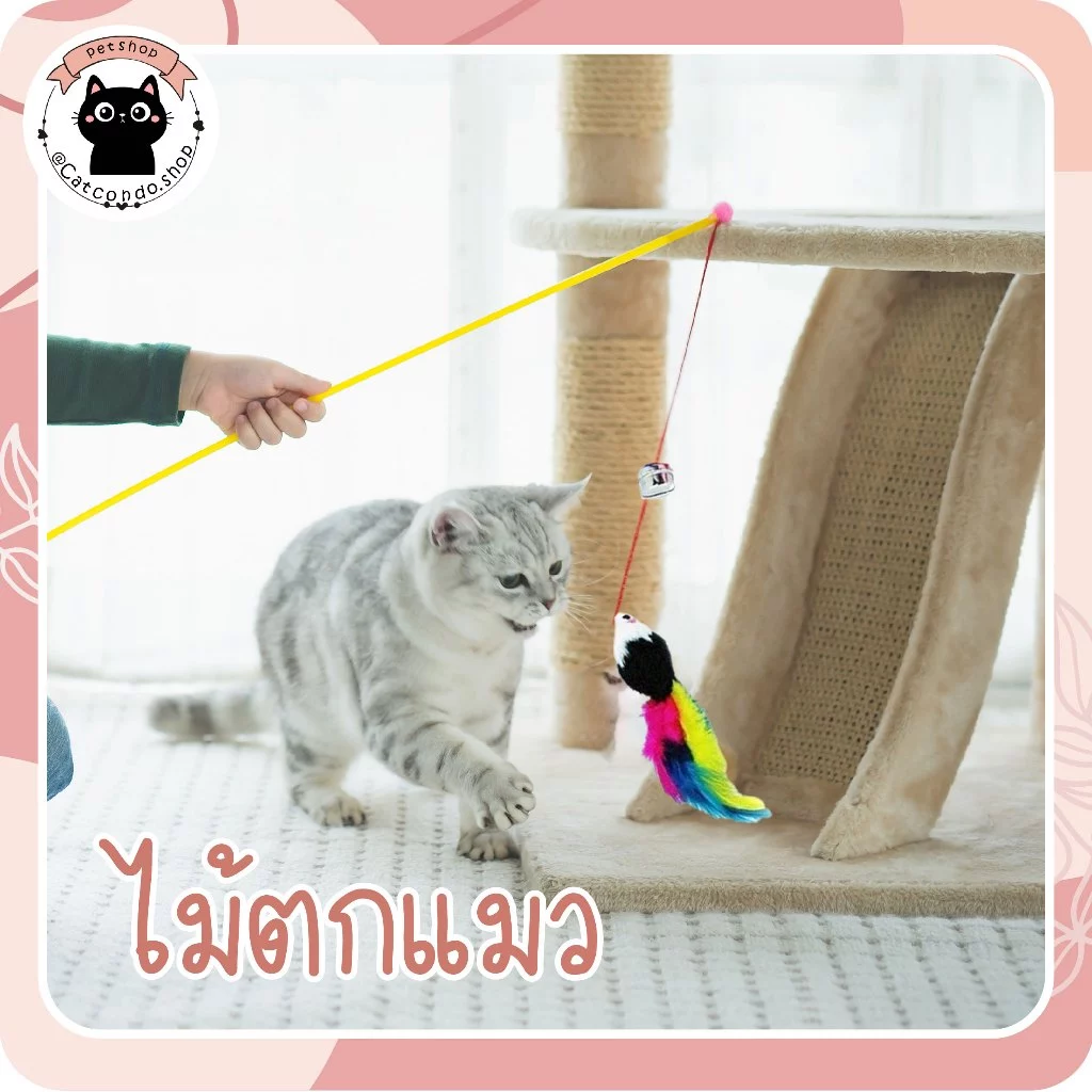 ไม้ตกแมวสปริง ของเล่นแมว หลายแบบ ราคาถูก