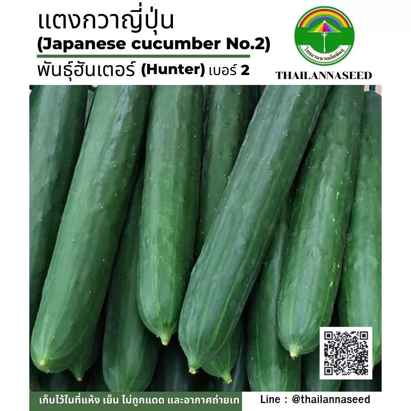 เมล็ดพันธุ์ผักสวนครัว แตงกวาญี่ปุ่น พันธุ์ฮันเตอร์ เบอร์ 2 จำนวน 10 เมล็ด รหัสสินค้า ( 6050 )
