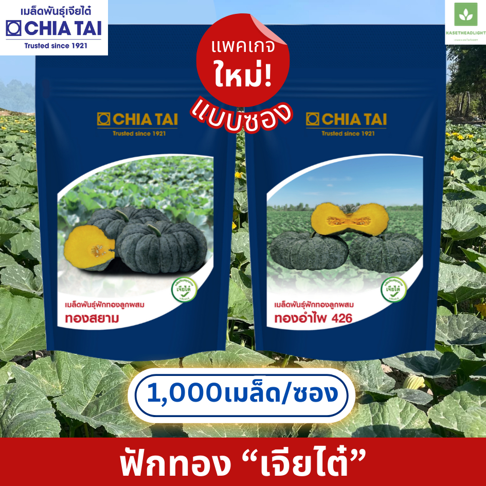 1,000เมล็ด/ซอง ฟักทอง ทองสยาม ทองอำไพ 426 จากเจียไต๋ เมล็ดพันธุ์ฟักทอง – โปรปัง