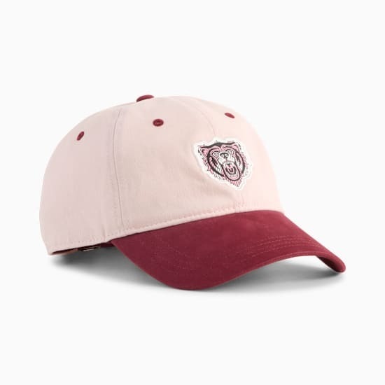 AH25 Graphic Dad Cap