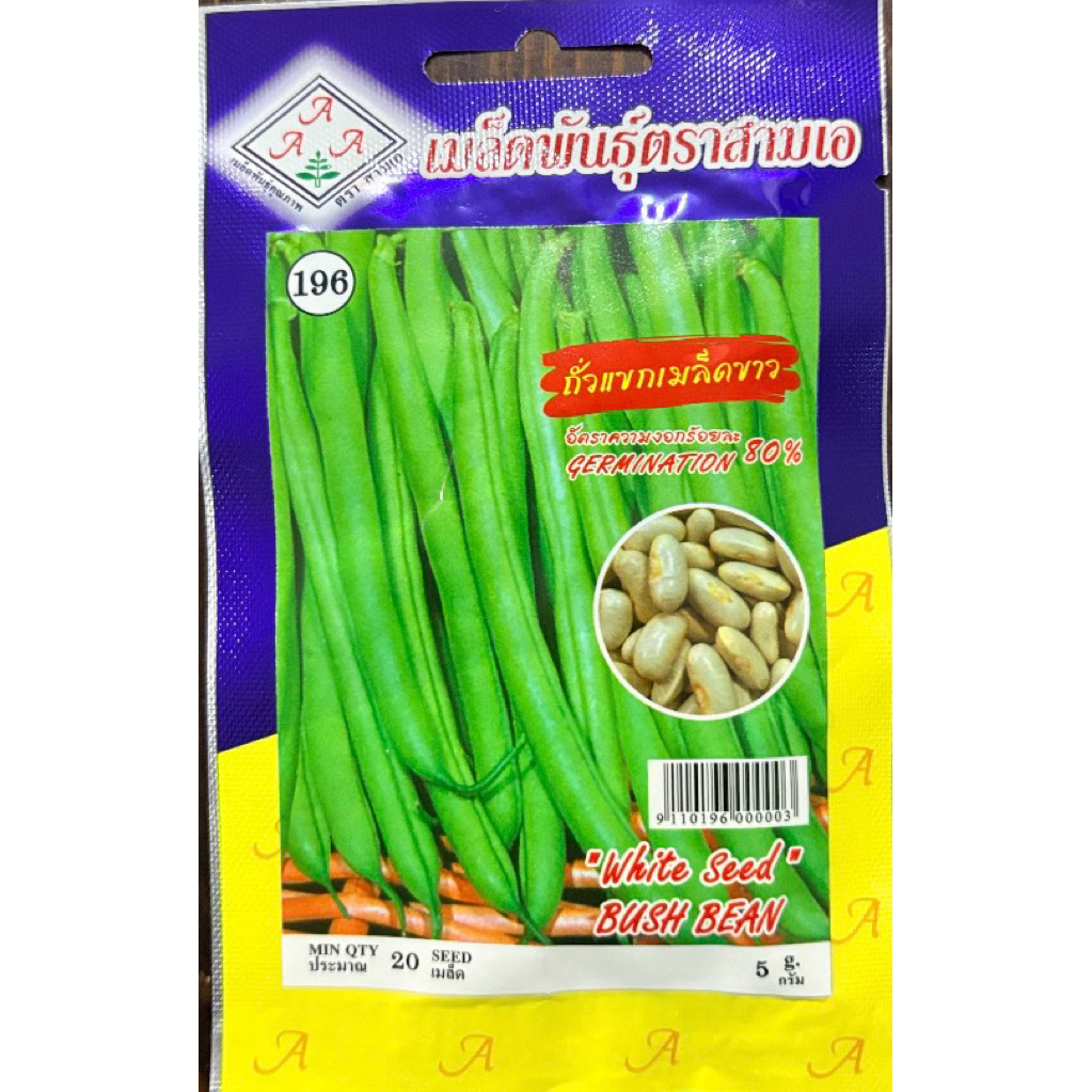 เมล็ด ถั่วแขก เมล็ดดำ,เมล็ดขาว ปลูกง่าย ดก - รูปที่ 2