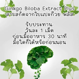 สารสกัดจากใบแปะก๊วย พลัส Ginkgo Biloba Extract Plus ตรา บลูเบิร์ด ขนาด 600 มิลลิกรัม 60 แคปซูล