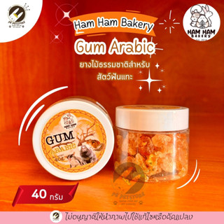 Ham Ham Bakery  ยางไม้ธรรมชาติ (ขนาด40กรัม) เหมาะกับ : ชูการ…