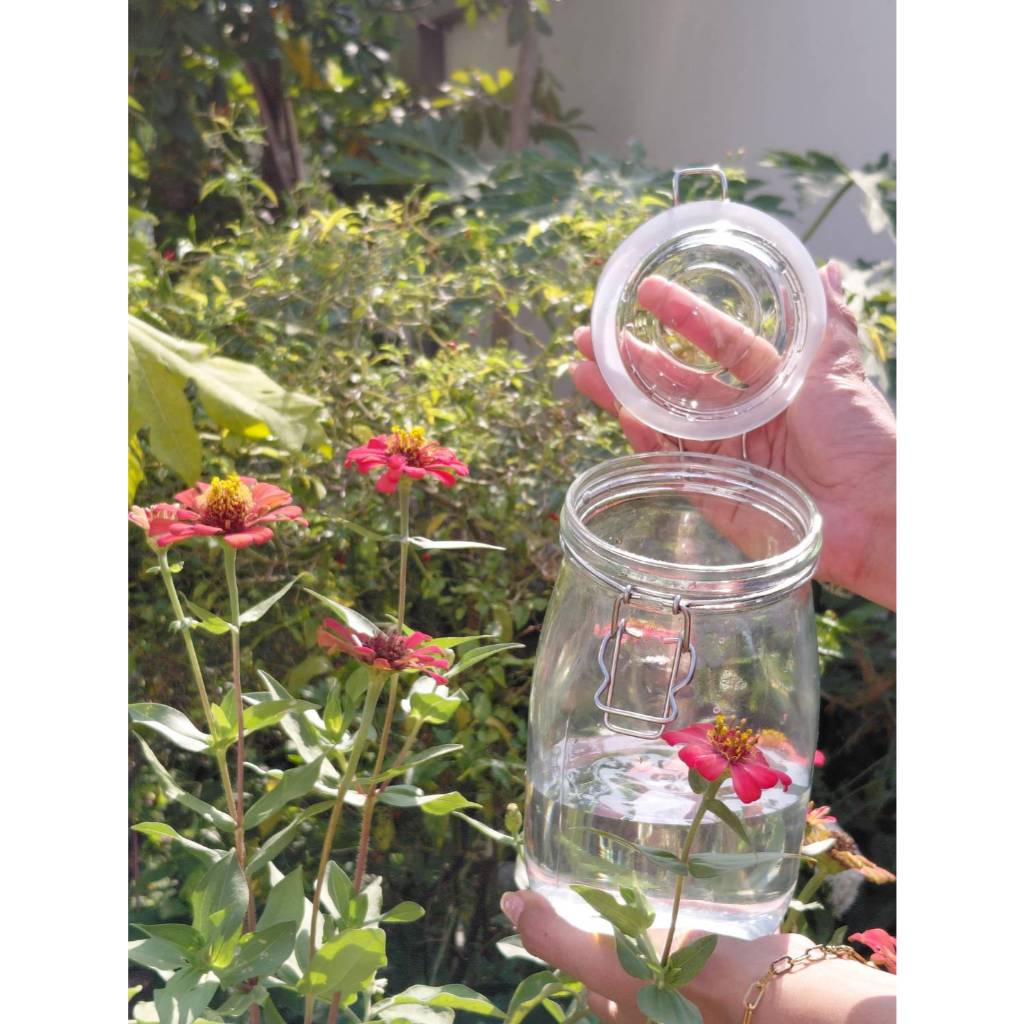 ขวดโหลแก้วใส ฝาล็อกแน่น เหมาะกับใส่ขนม  ของแห้ง หรือใช้ตกแต่ง 2ลิตร/3.2ลิตร  (สินค้าส่งจากไทย) - รูปที่ 2