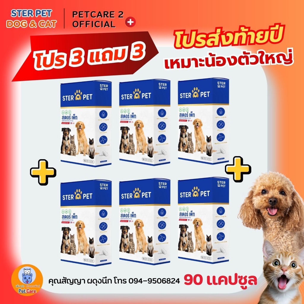 โปรสุดคุ้ม 3 แถมฟรี 3 !! สเตอร์เพ็ท เนื้องอก มะเร็ง เสริมภูมิ หมาแมว ( 90 แคปซูล)