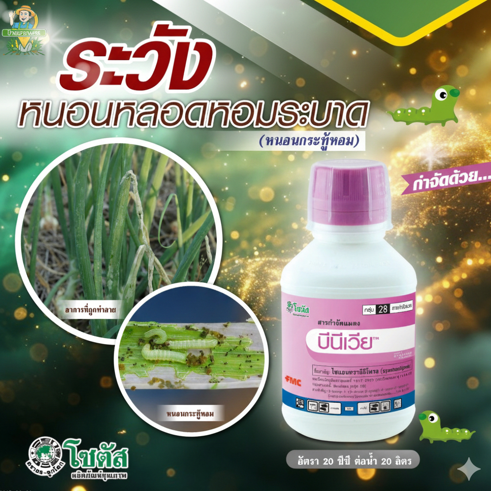 บีนีเวีย (Benevia) 250cc กำจัด แมลง แมลงปากดูด ปากกัด หนอน หนอนชอนใบ เพลี้ยไฟ เพลี้ยอ่อน แมลงหวี่ขาว