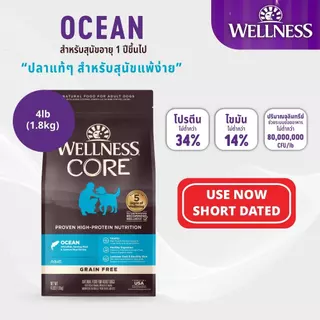 [ลดล้างสต๊อก Short Expired] WELLNESS CORE อาหารสุนัขพรีเมี่ยม มีให้เลือกหลายสูตรทุกช่วงวัย ( สุนัขเด็ก - สุนัขโต )