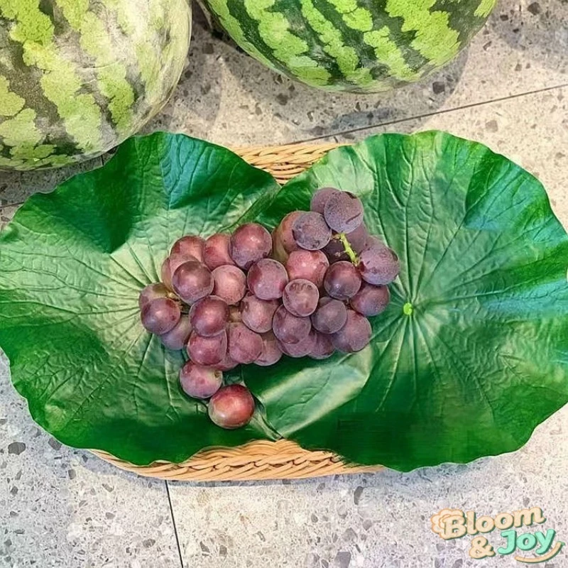 ใบบัวเทียม มีหลายขนาด เหมาะสำหรับใช้เป็นรองจานและภาชนะใส่อาหารในร้านอาหาร คาเฟ่ และตกแต่งมุมถ่ายรูป