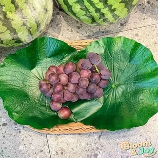 ใบบัวเทียม มีหลายขนาด เหมาะสำหรับใช้เป็นรองจานและภาชนะใส่อาหารในร้านอาหาร คาเฟ่ และตกแต่งมุมถ่ายรูป