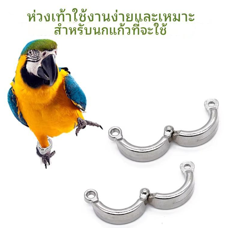 ห่วงเปิดนก ห่วงขานก 3-15มม. สำหรับนกแก้วทุกชนิด ห่วงเปิดปิดนก ห่วงขานก เลิฟเบิร์ด ใช้กับสายยืดคล้องขานกได้ ราคา ถูกที่สุด ดีลบีเคเค แกลเลอรีภาพที่ 5