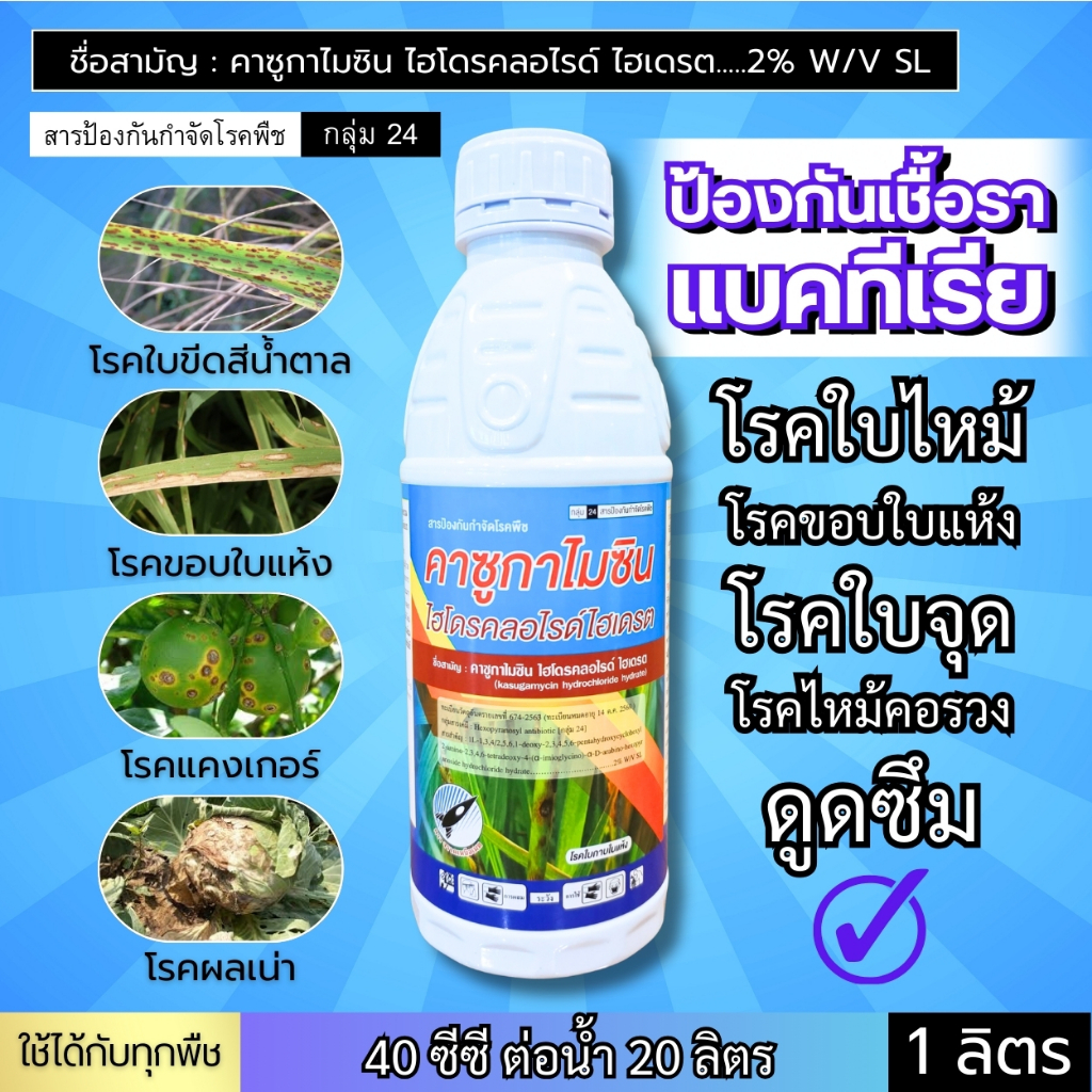 คาซูกาไมซิน (2%) ป้องกันและยับยั้ง เชื้อรา-แบคทีเรีย โรคใบไหม้ ขอบใบแห้ง ใบติด แคงเกอร์ ใบจุด โรคเน่า กาบใบแห้ง : 1 ลิตร