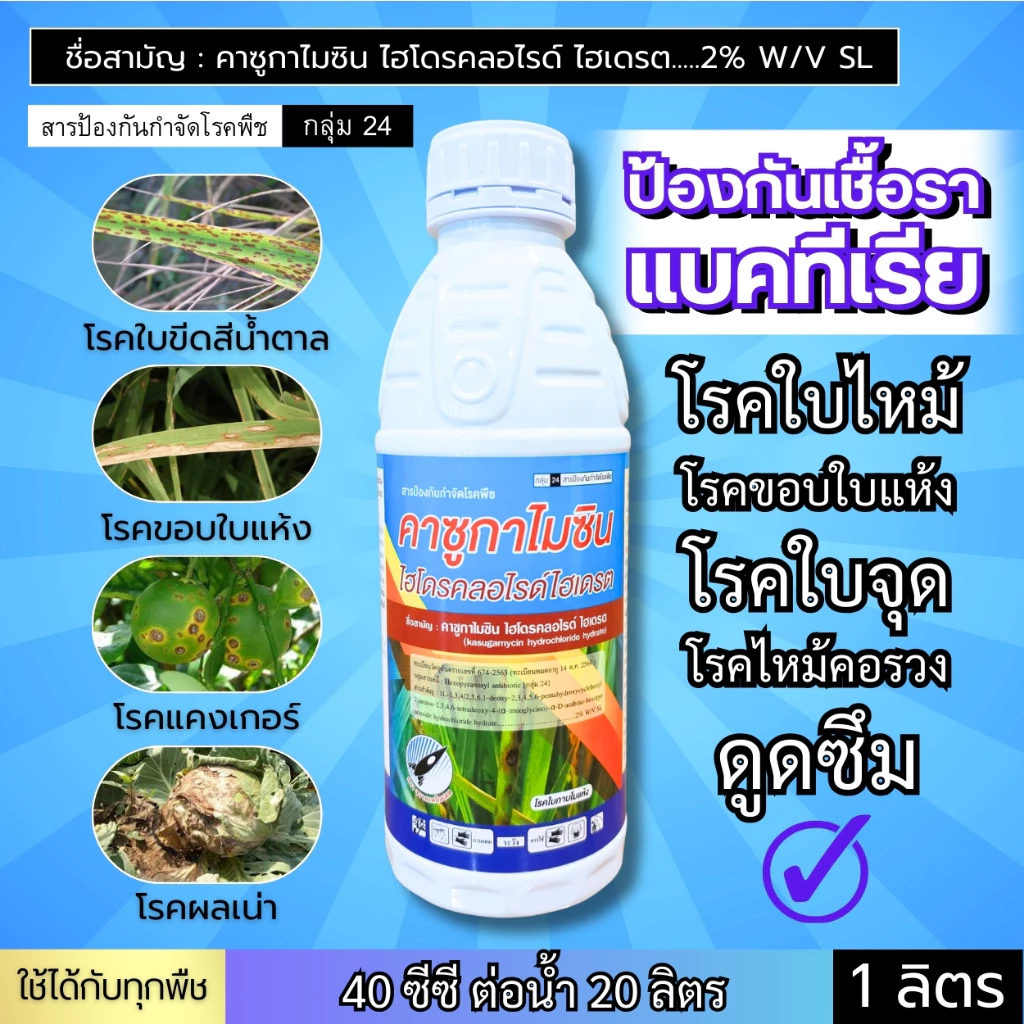 คาซูกาไมซิน (2%) ป้องกันและยับยั้ง เชื้อรา-แบคทีเรีย โรคใบไหม้ ขอบใบแห้ง ใบติด แคงเกอร์ ใบจุด โรคเน่า กาบใบแห้ง : 1 ลิตร